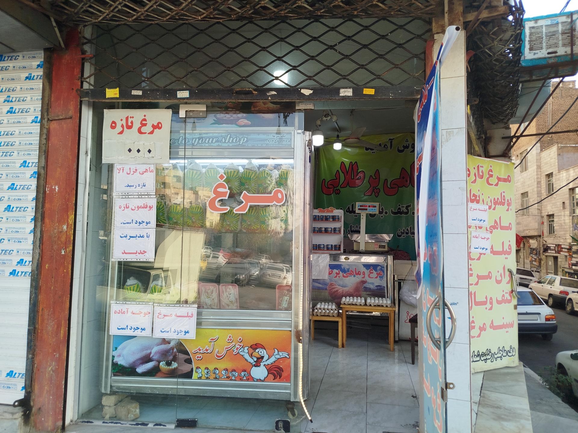 عکس مرغ و ماهی پر طلایی موسوی 