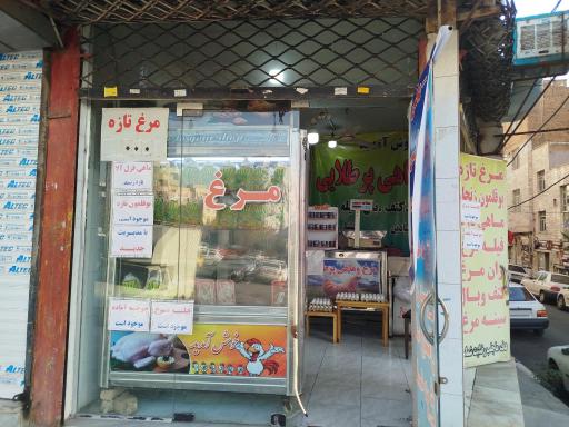 عکس مرغ و ماهی پر طلایی موسوی 