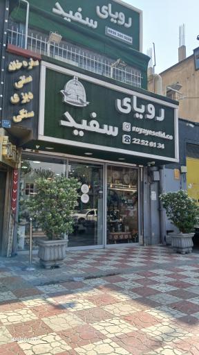 عکس رویای سفید