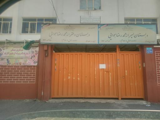 عکس دبستان محمدرضا هوایی