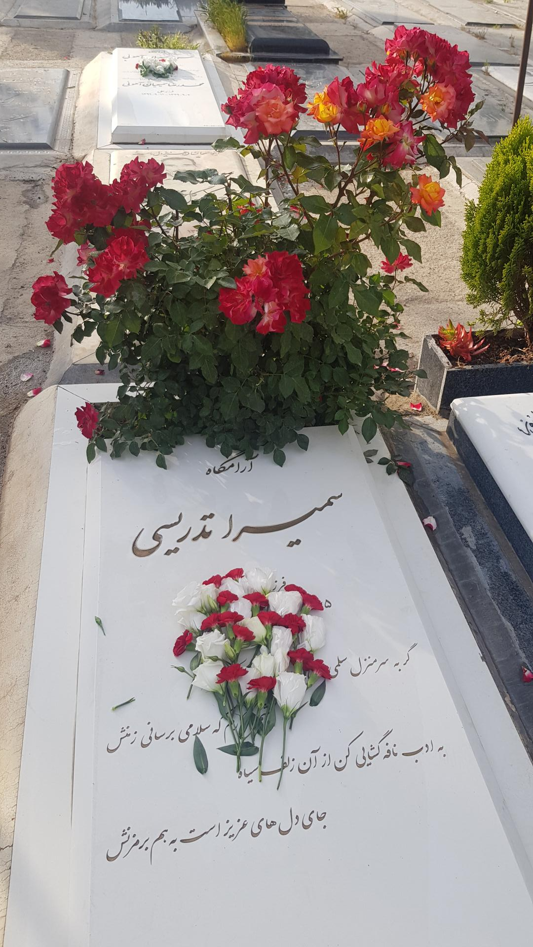 عکس مزار سمیرا تدریسی