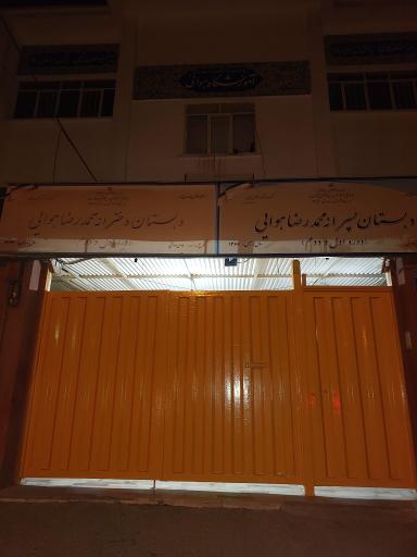 عکس دبستان محمدرضا هوایی