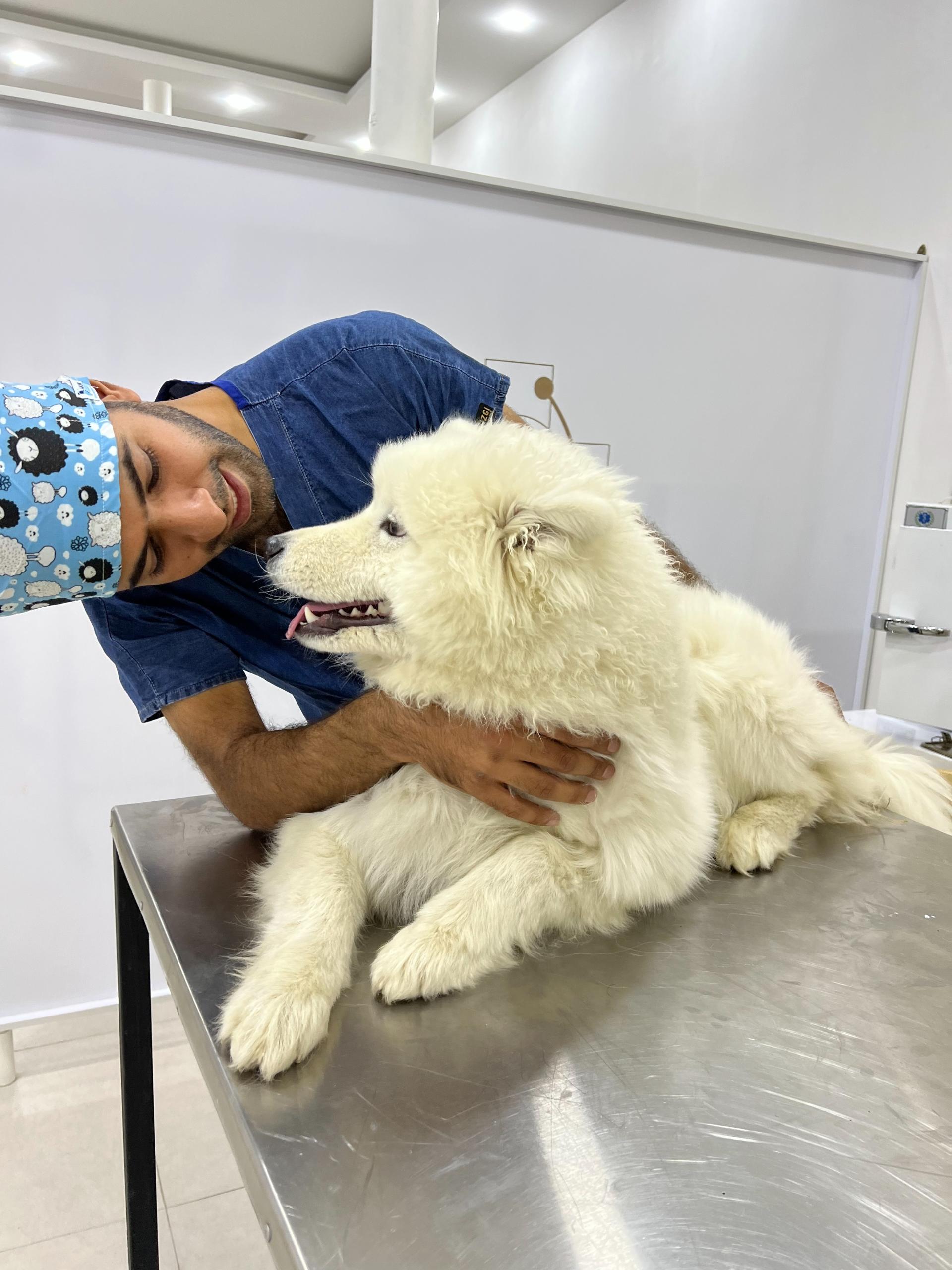 عکس کلینیک دامپزشکی دکتر سیامند باستانی