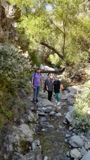 عکس آبشار دارآباد (غلاک)