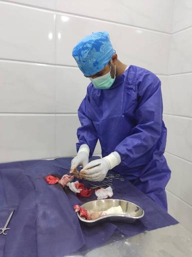 عکس کلینیک دامپزشکی دکتر سیامند باستانی