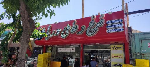 عکس مرغ و ماهی دریا