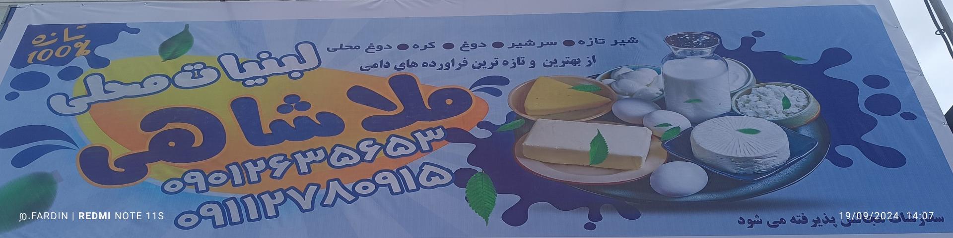 عکس لبنیات محلی ملاشاهی