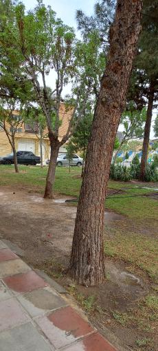 عکس بوستان باهنر