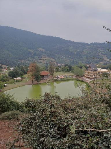 عکس دریاچه نیلوفر آبی استخرگاه