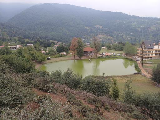 عکس دریاچه نیلوفر آبی استخرگاه