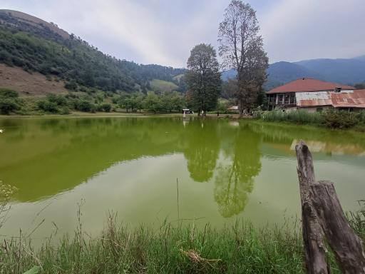 عکس دریاچه نیلوفر آبی استخرگاه