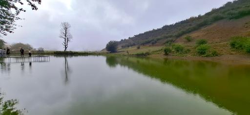 عکس دریاچه نیلوفر آبی استخرگاه