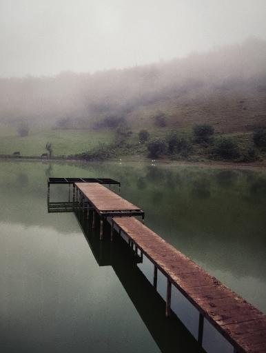 عکس دریاچه نیلوفر آبی استخرگاه