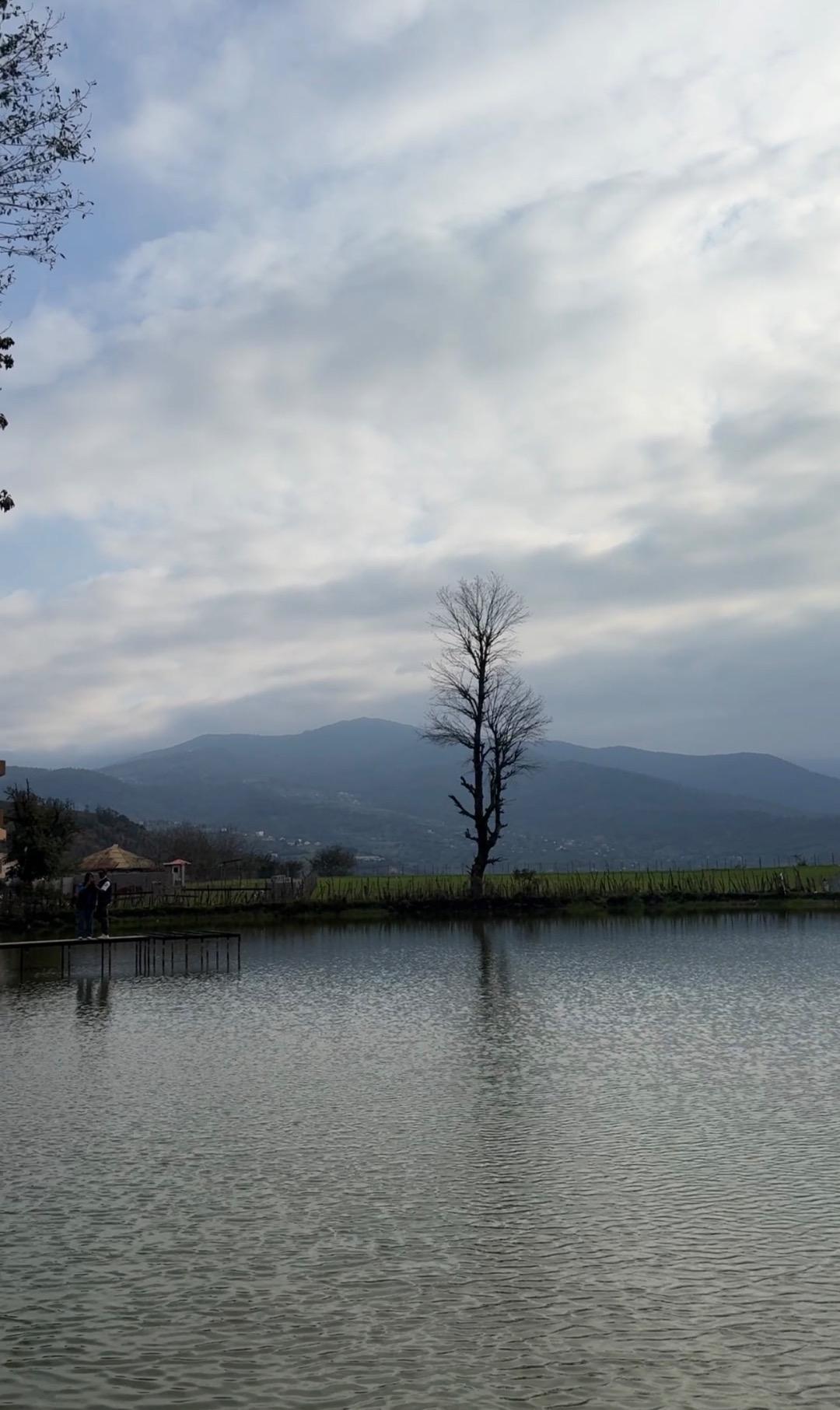 عکس دریاچه نیلوفر آبی استخرگاه