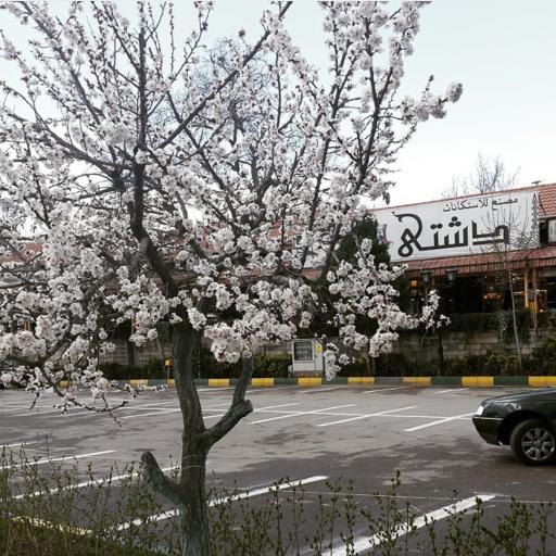 عکس صنایع دستی نقشینه