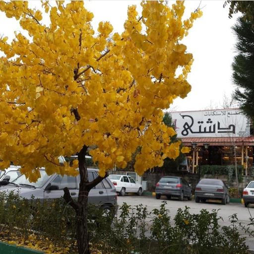 عکس صنایع دستی نقشینه