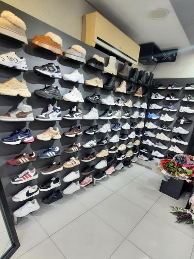 کفش کتونی میلانو