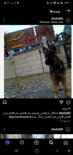 عکس سفره خانی سنتی جمشیدیه