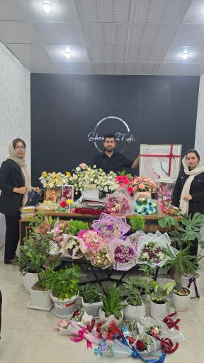 استودیو شین