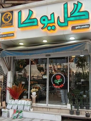 عکس گل یوکا