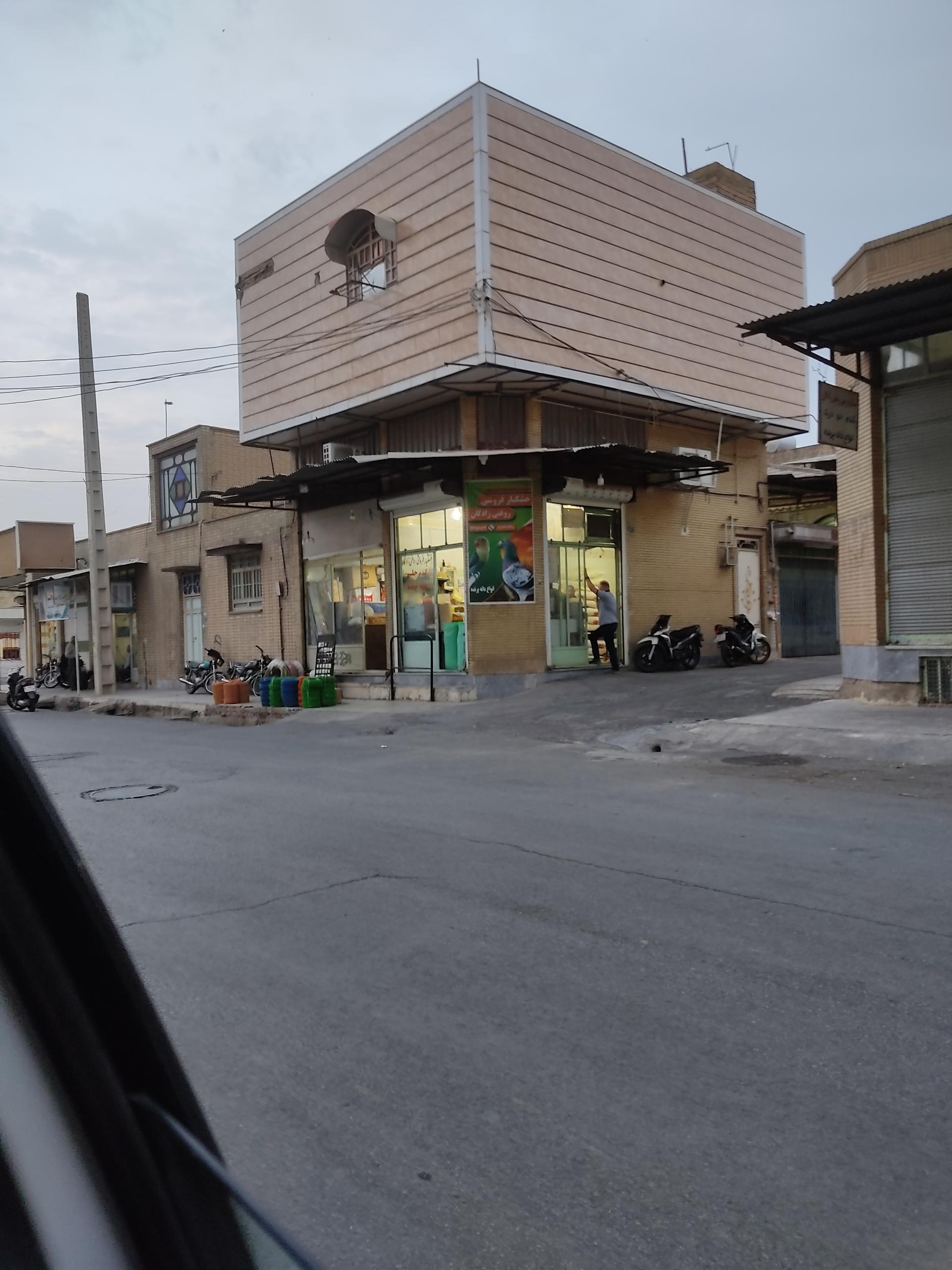 عکس دانه پرنده فروشی روغنی زادگان