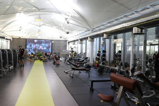 عکس باشگاه فیت جیم