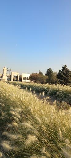 عکس باغ گیاهان دارویی و صنعتی (باغ گیاهشناسی)