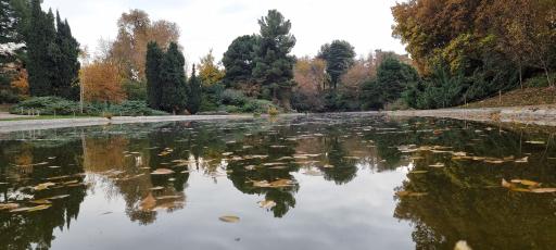 عکس باغ گیاهان دارویی و صنعتی (باغ گیاهشناسی)