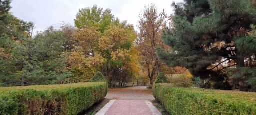 عکس باغ گیاهان دارویی و صنعتی (باغ گیاهشناسی)