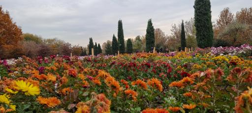 عکس باغ گیاهان دارویی و صنعتی (باغ گیاهشناسی)