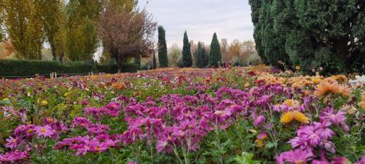 عکس باغ گیاهان دارویی و صنعتی (باغ گیاهشناسی)