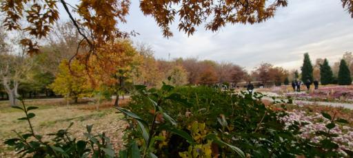 عکس باغ گیاهان دارویی و صنعتی (باغ گیاهشناسی)