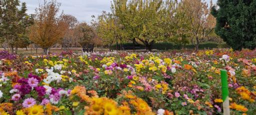 عکس باغ گیاهان دارویی و صنعتی (باغ گیاهشناسی)