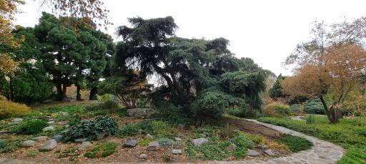 عکس باغ گیاهان دارویی و صنعتی (باغ گیاهشناسی)