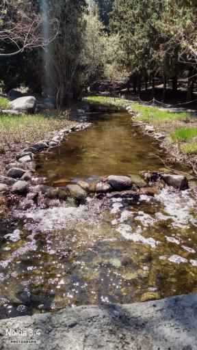 باغ گیاهان دارویی و صنعتی (باغ گیاهشناسی)