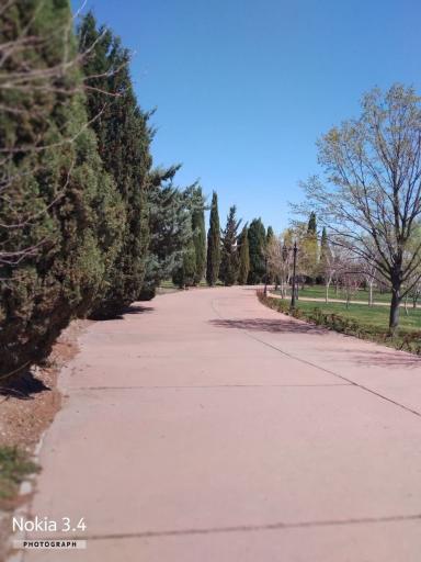 باغ گیاهان دارویی و صنعتی (باغ گیاهشناسی)