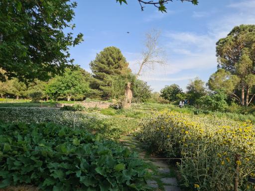 عکس باغ گیاهان دارویی و صنعتی (باغ گیاهشناسی)