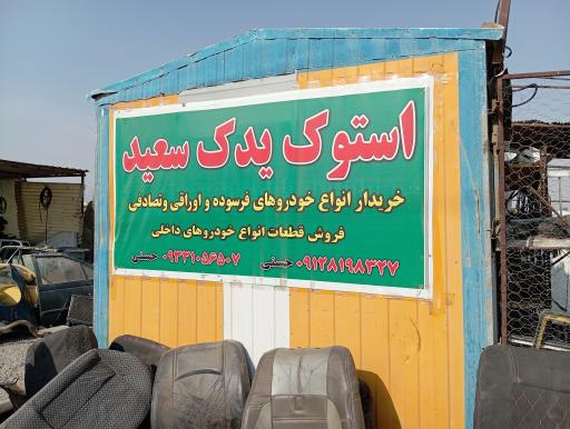 عکس استوک یدک سعید 