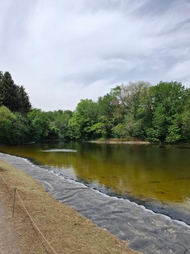 عکس باغ گیاهان دارویی و صنعتی (باغ گیاهشناسی)