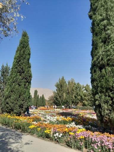 عکس باغ گیاهان دارویی و صنعتی (باغ گیاهشناسی)