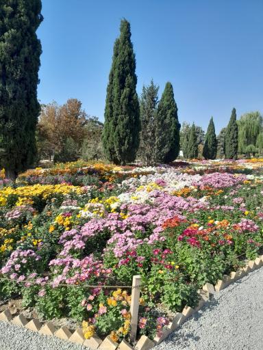 عکس باغ گیاهان دارویی و صنعتی (باغ گیاهشناسی)