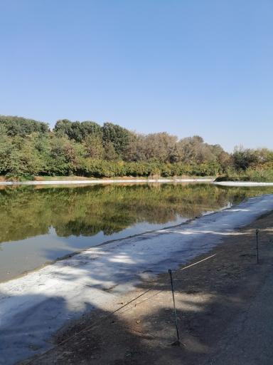 عکس باغ گیاهان دارویی و صنعتی (باغ گیاهشناسی)