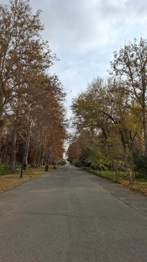 عکس باغ گیاهان دارویی و صنعتی (باغ گیاهشناسی)