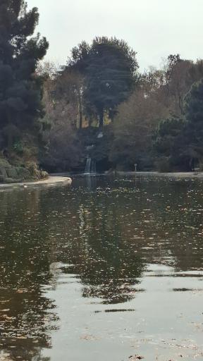 عکس باغ گیاهان دارویی و صنعتی (باغ گیاهشناسی)