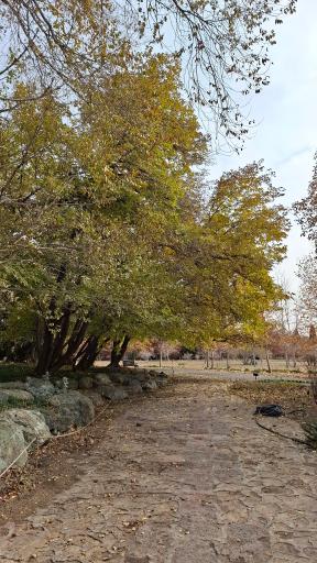 عکس باغ گیاهان دارویی و صنعتی (باغ گیاهشناسی)