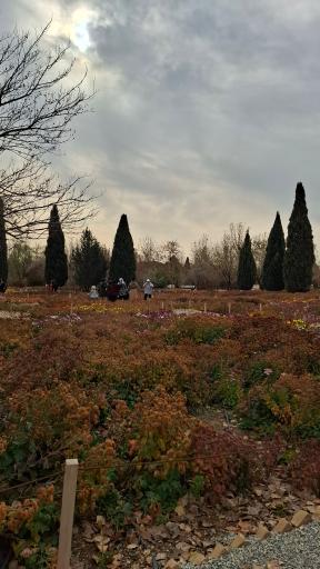 عکس باغ گیاهان دارویی و صنعتی (باغ گیاهشناسی)