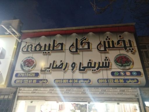 عکس بخش گل طبیعی شریفی و رضایی