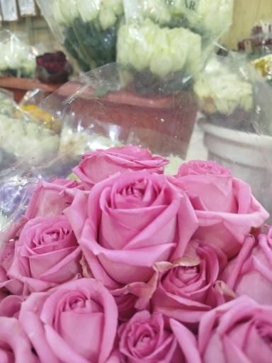 عکس بخش گل طبیعی شریفی و رضایی