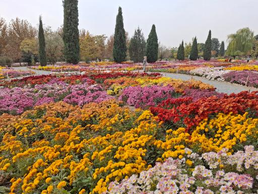 عکس باغ گیاهان دارویی و صنعتی (باغ گیاهشناسی)