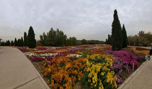 عکس باغ گیاهان دارویی و صنعتی (باغ گیاهشناسی)